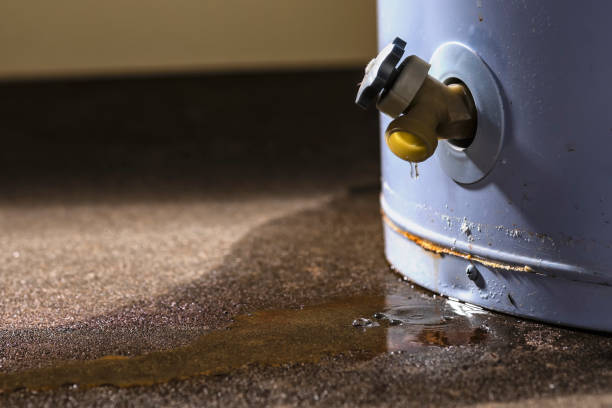 Best Carpet water damage restoration  in Yorkville, WI