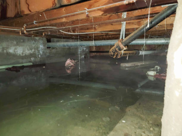 Best Flood damage cleanup  in Yorkville, WI