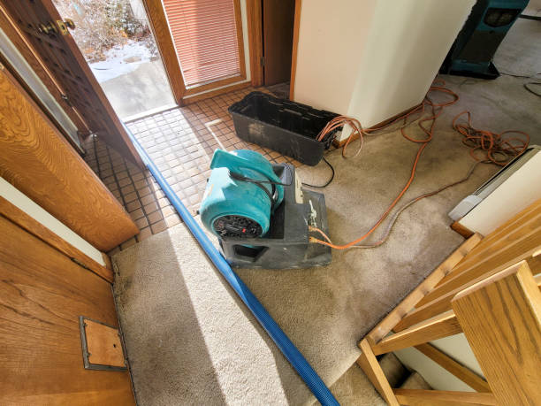 Best Ceiling water damage repair  in Yorkville, WI