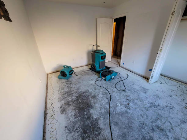 Water damage restoration experts in WI