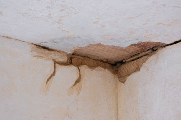 Best Emergency water damage restoration  in Yorkville, WI