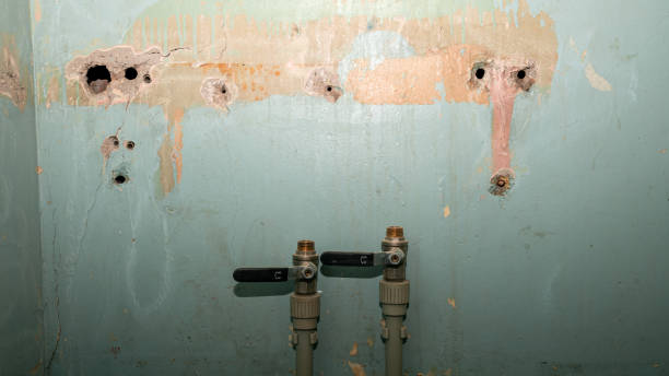 Best Water damage restoration near me  in Yorkville, WI