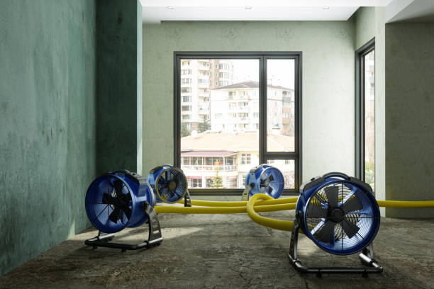  Yorkville, WI Water damage restoration Pros