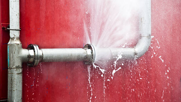 Best Mold removal after water damage  in Yorkville, WI